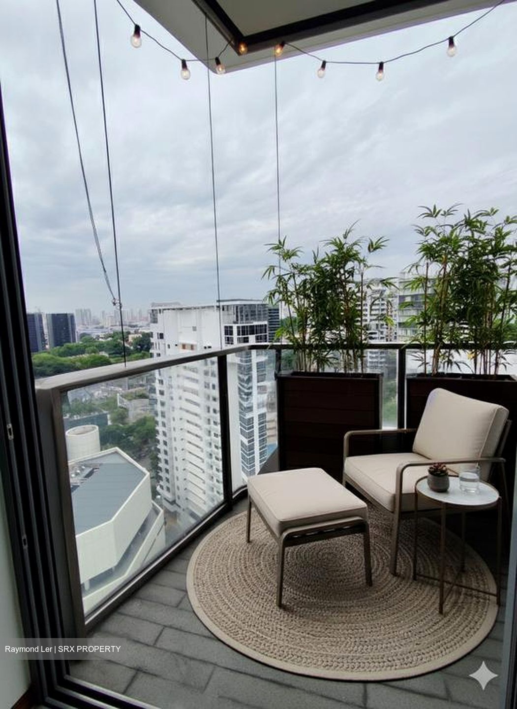 The Scotts Tower (D9), Condominium #508422171